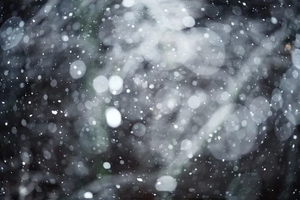 Sneeuw bokeh textuur — Stockfoto