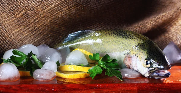 Fresh trout — Stock Photo, Image