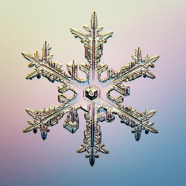 Snowflake — Stock Photo, Image