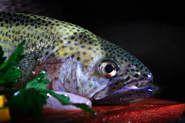 Fresh trout — Stock Photo, Image