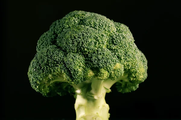 Broccoli — Stock Photo, Image