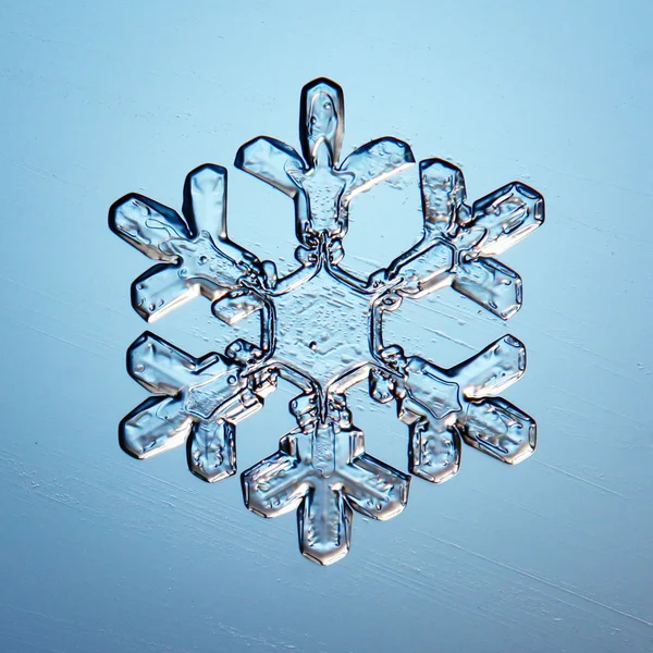 Snowflake ice crystals — Stock Photo, Image