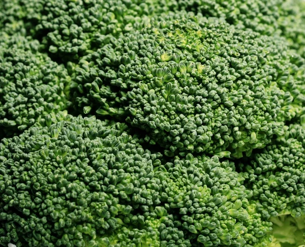 Textura de brócoli verde — Foto de Stock