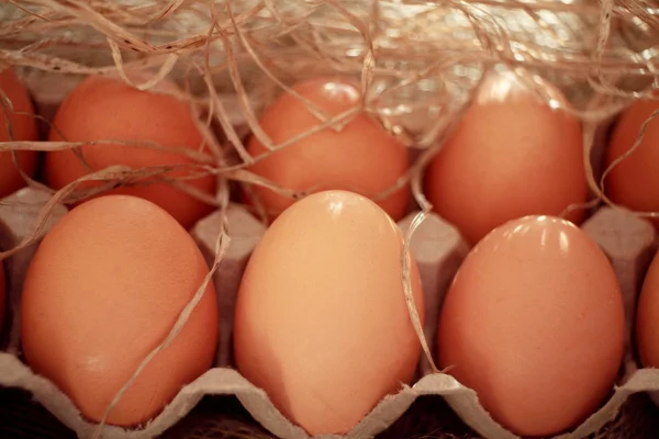 Uova di pollo — Foto Stock