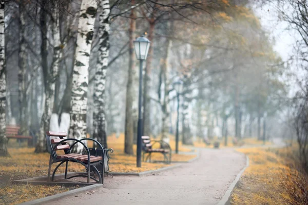 City autumn alley bench — Stock Photo, Image