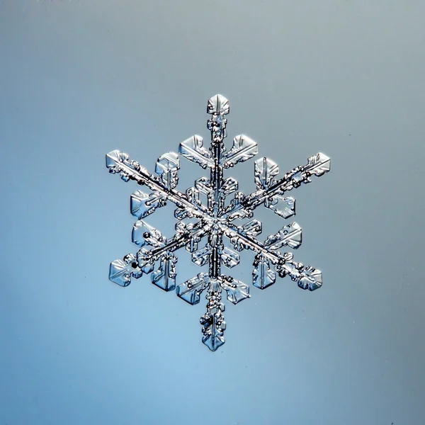 Makro śnieżynka — Zdjęcie stockowe