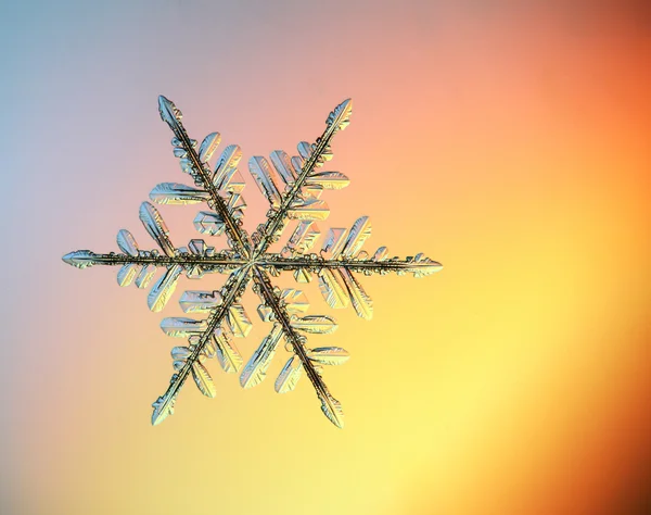 Snowflake ice crystals — Stock Photo, Image