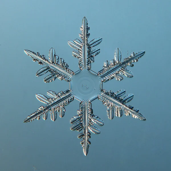 Snowflake — Stock Photo, Image