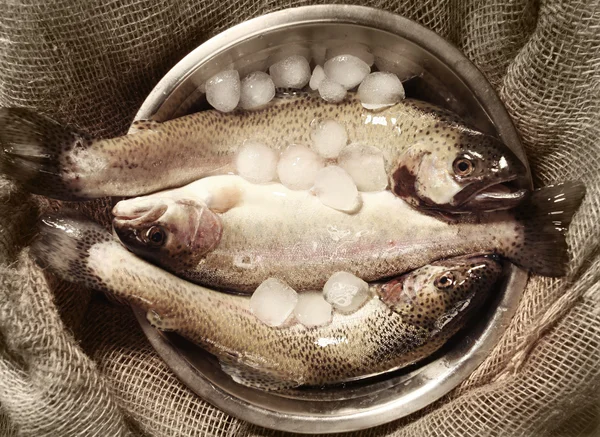 Raw Trout — Stock Photo, Image