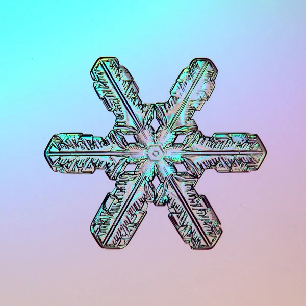 Snowflake ice crystals — Stock Photo, Image