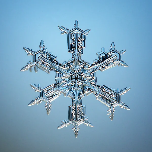 Snowflake ice crystals — Stock Photo, Image