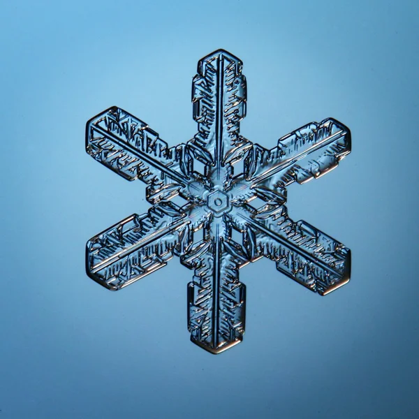 Snowflake ice crystals — Stock Photo, Image