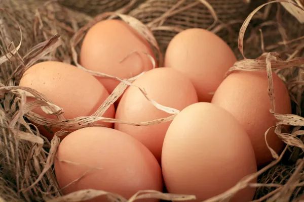 Huevos de pollo —  Fotos de Stock