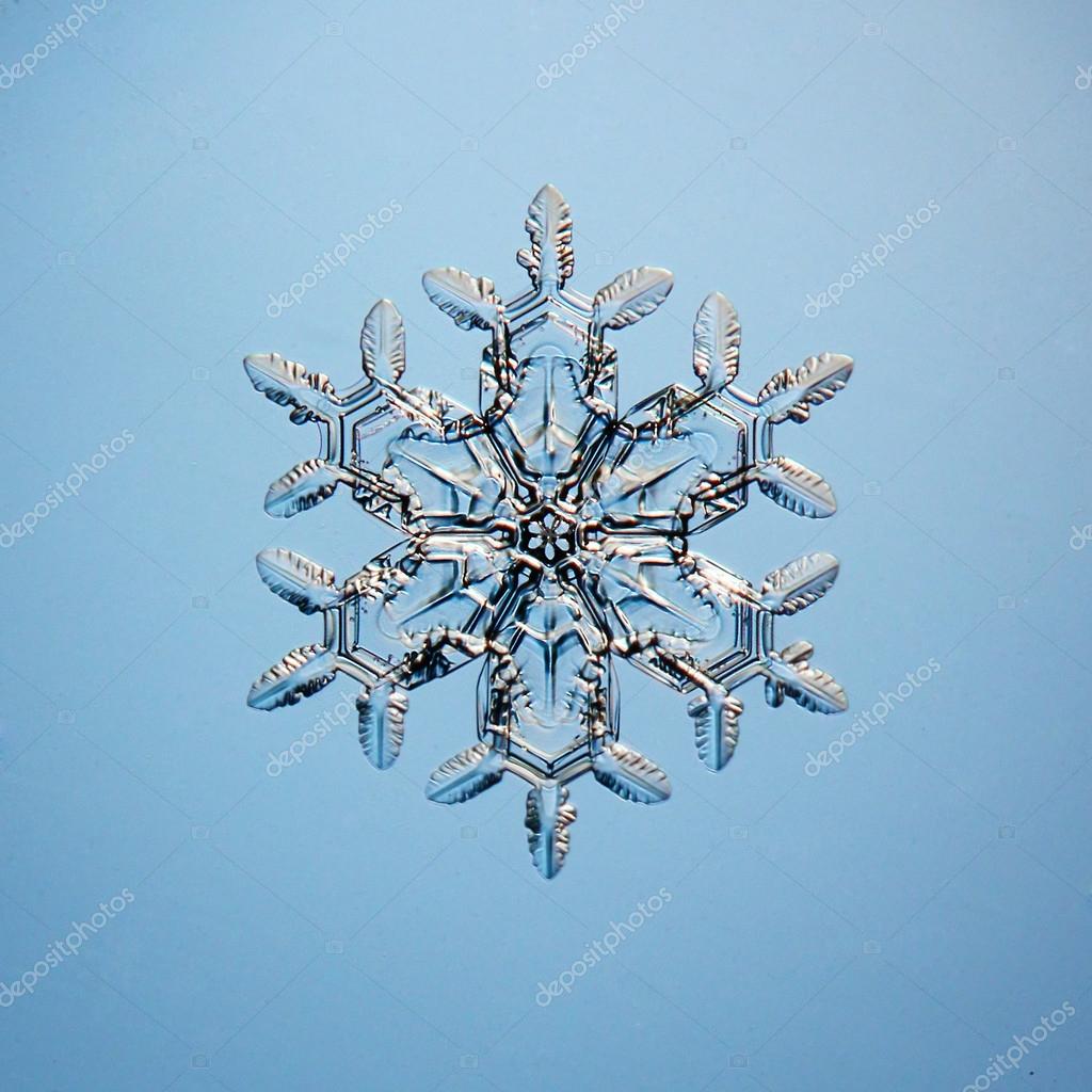 雪の結晶写真素材 ロイヤリティフリー雪の結晶画像 Depositphotos 雪の結晶写真素材 ロイヤリティフリー雪の結晶画像 Depositphotos