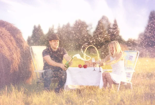 Liefhebbers picknick — Stockfoto