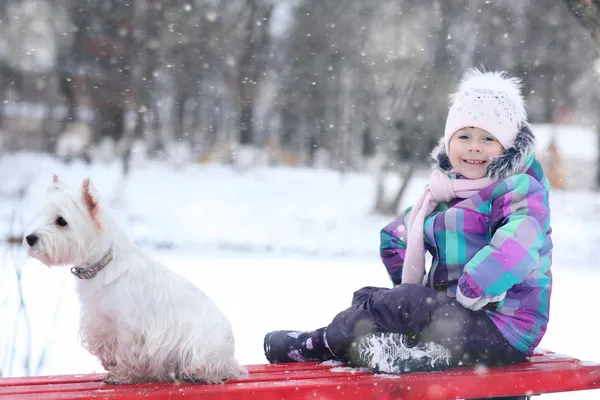 Flicka med vit hund — Stockfoto