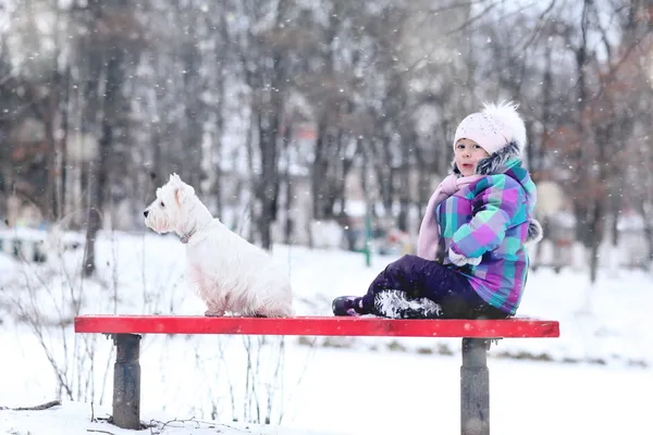 Flicka med vit hund — Stockfoto