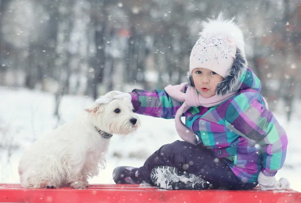 Beyaz köpek ile kız — Stok fotoğraf