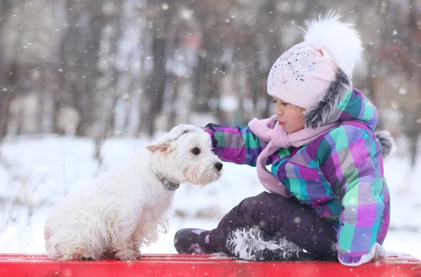 Beyaz köpek ile kız — Stok fotoğraf