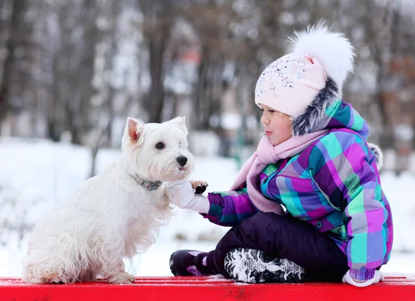 Beyaz köpek ile kız — Stok fotoğraf