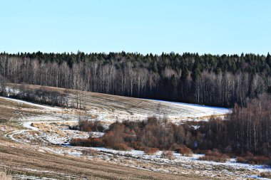 Bahar orman manzarası