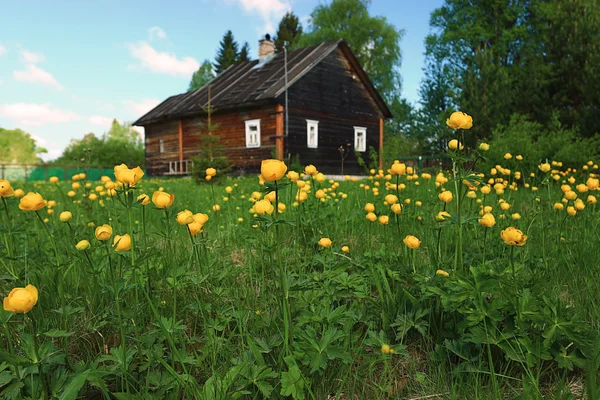 Houten huis in bloemen — Stockfoto