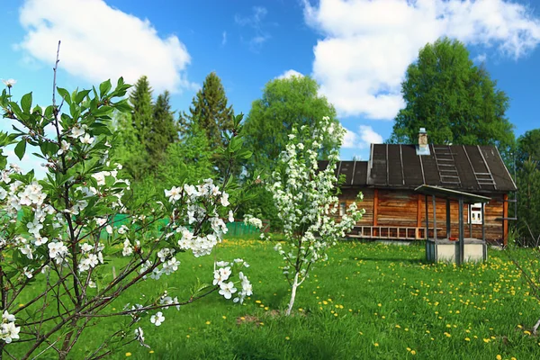 Houten huis in tuin — Stockfoto