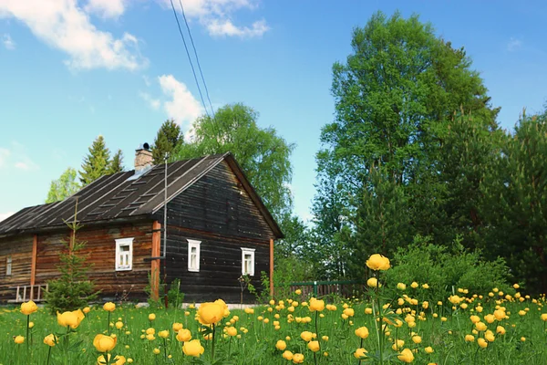 Houten huis in bloemen — Stockfoto