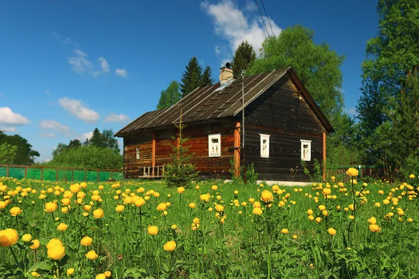 Dřevěný dům v květech — Stock fotografie