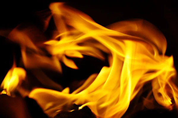 Fire flame — Stock Photo, Image