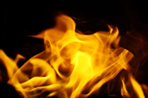 Fire flame — Stock Photo, Image