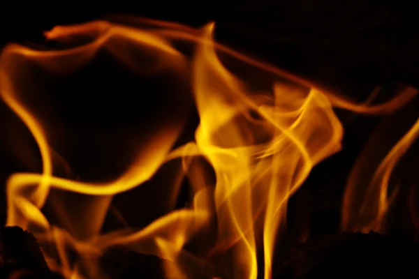 Fire flame — Stock Photo, Image