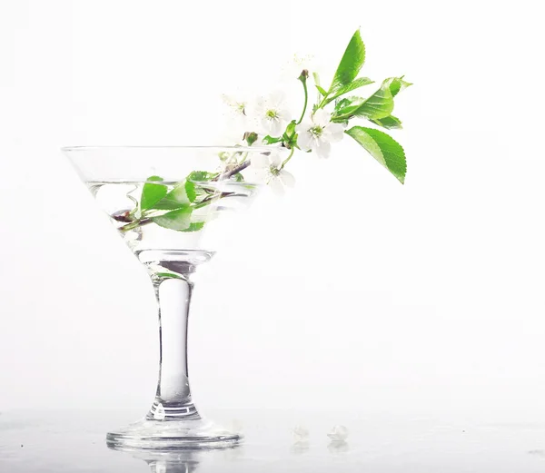 Cherry flowers in glass — Stock Photo, Image