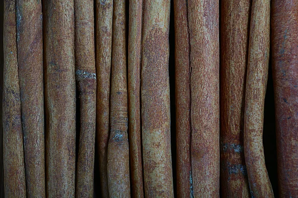 Cinnamon sticks texture — Stock Photo, Image