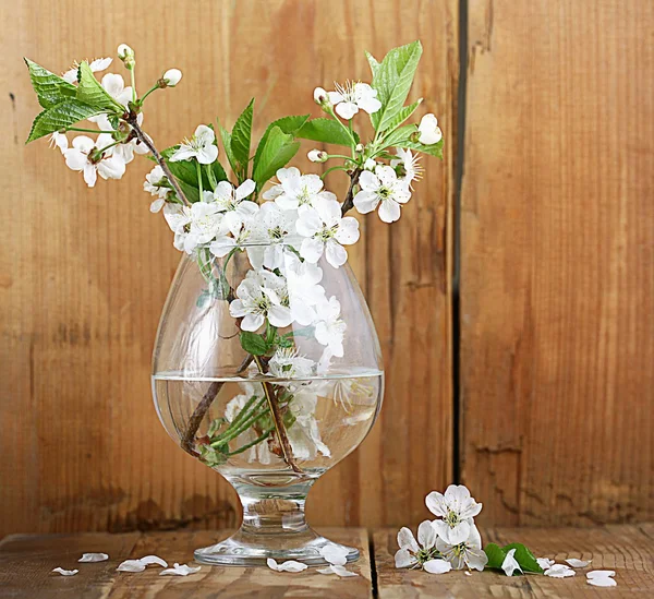 Flores de cerezo en vidrio — Foto de Stock