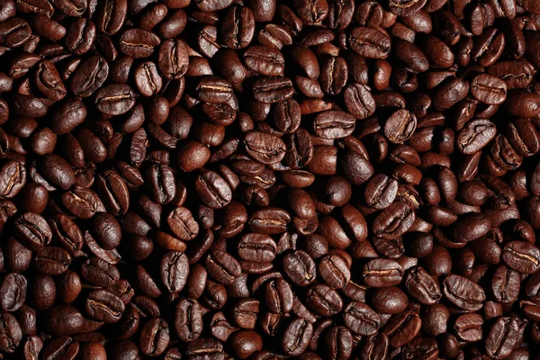 Koffiebonen — Stockfoto