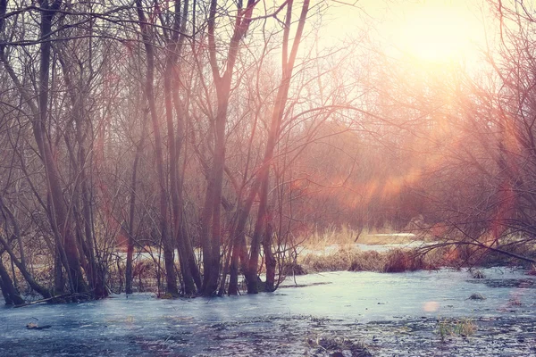 Creek  water — Stock Photo, Image