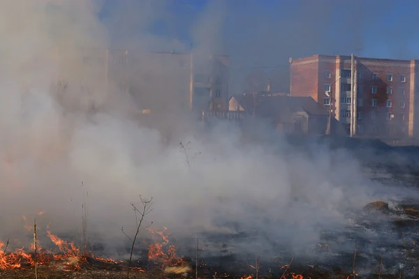 Fire burns gräs — Stockfoto