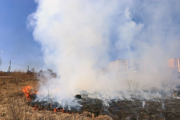 Vuur branden droog gras — Stockfoto