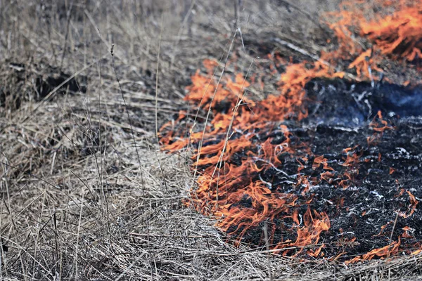Pożar suchej trawy do nagrywania — Zdjęcie stockowe