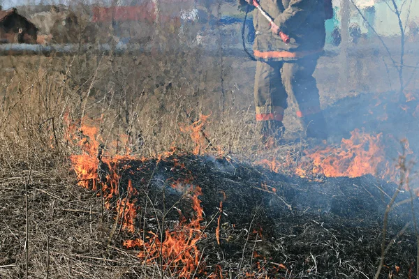Пожарный в лесу — стоковое фото
