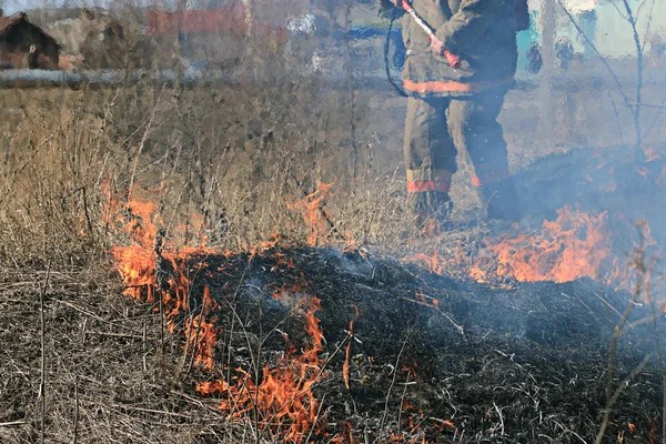 Strażak w lesie — Zdjęcie stockowe