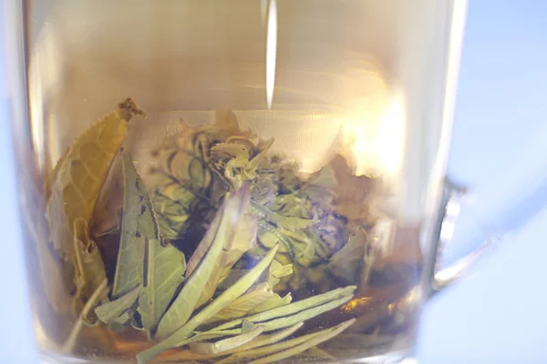 Cup of green tea — Stock Photo, Image