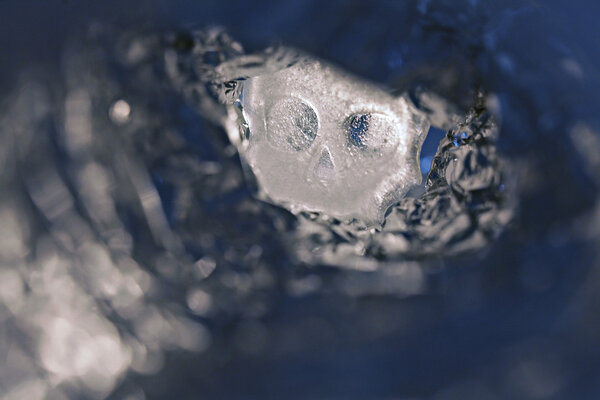 череп и перекрещенные кости
