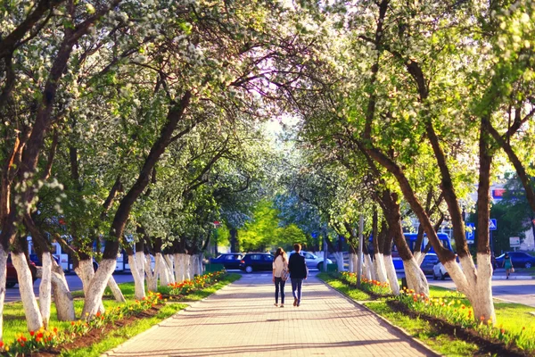 Walking in Park — Stock Photo, Image