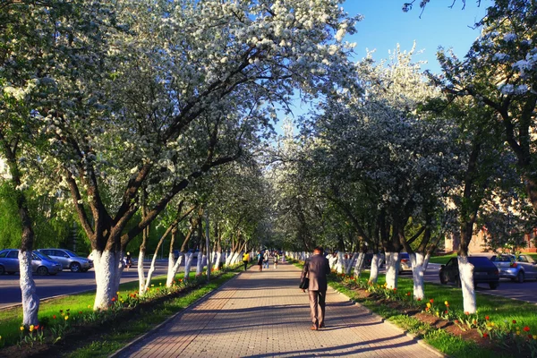 Promenader i parken — Stockfoto