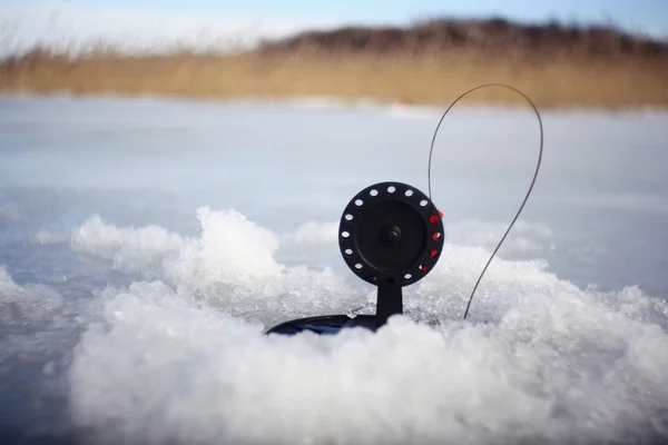 Esche per la pesca — Foto Stock