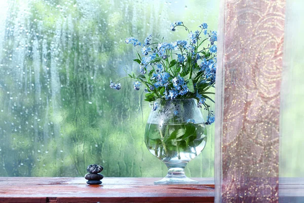 Váza s pomněnka — Stock fotografie