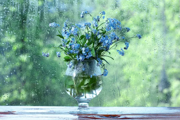 わすれな草の花瓶 — ストック写真