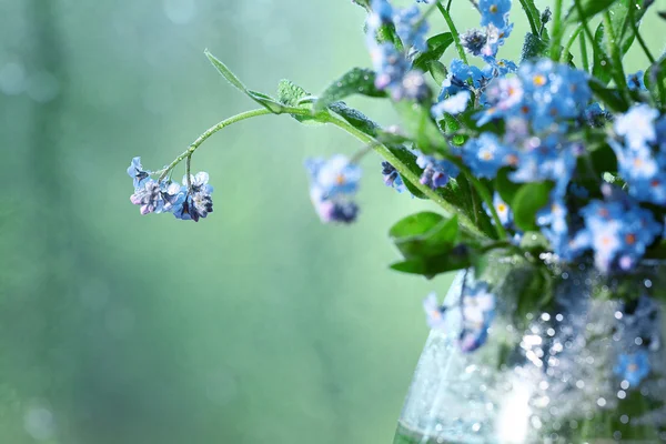 Vase with forget-me-not — Stock Photo, Image
